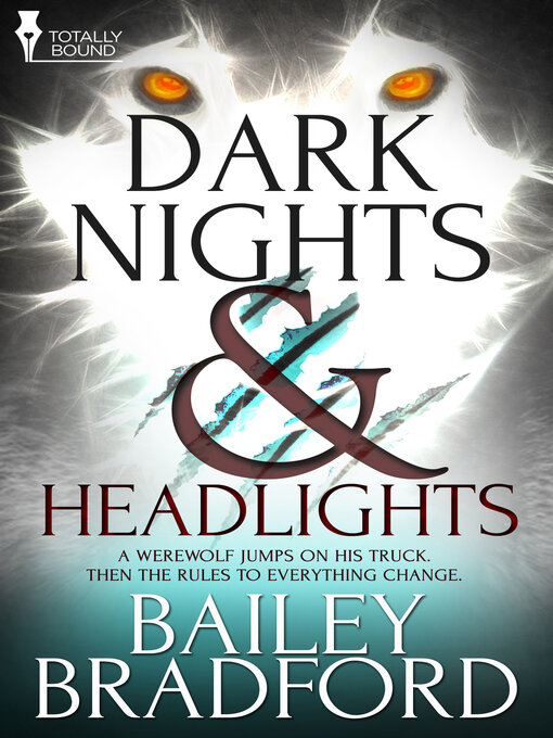 Title details for Dark Nights and Headlights by Bailey Bradford - Available